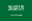 Saudi Arabia U19